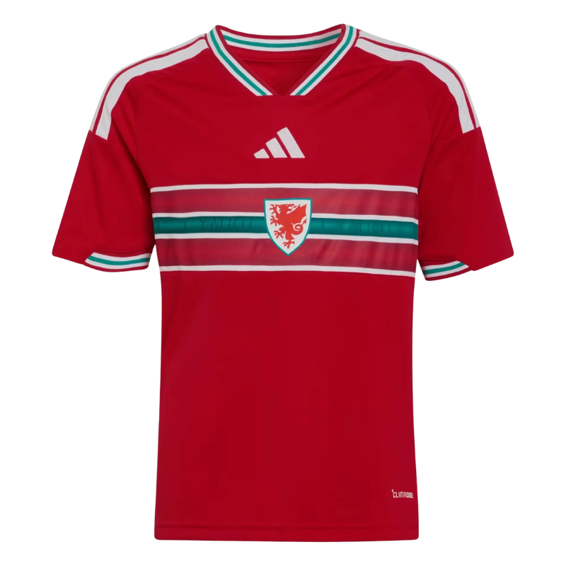 Gales – 1ª Equipación Local – Mundial 2026