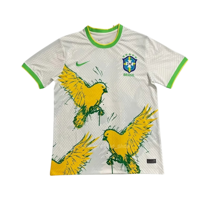 CBF BRASIL x WINGS