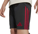 Pantalón Corto Liverpool 2ª Equipación 25/26