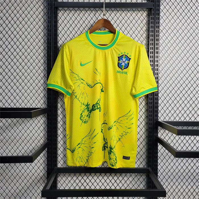 CBF BRASIL x WINGS